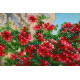 Mini Bead embroidery kit Sea outside the window