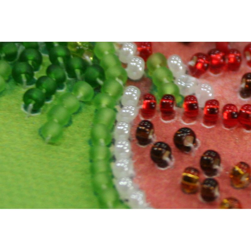 Magnets Bead embroidery kit Watermelon