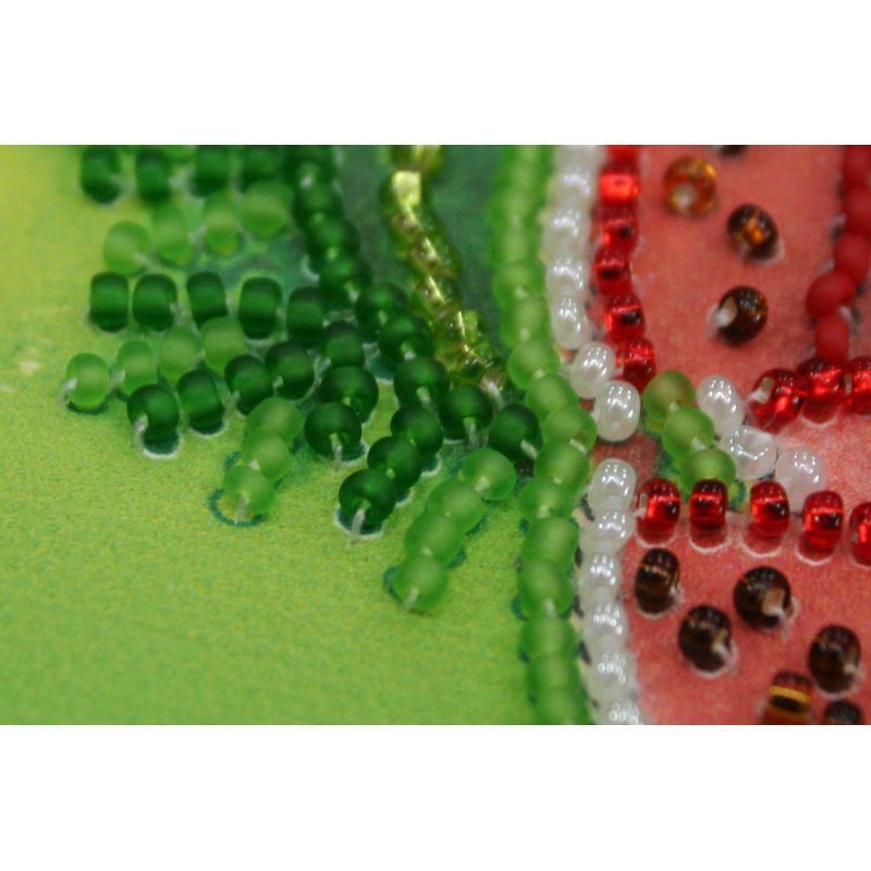Magnets Bead embroidery kit Watermelon