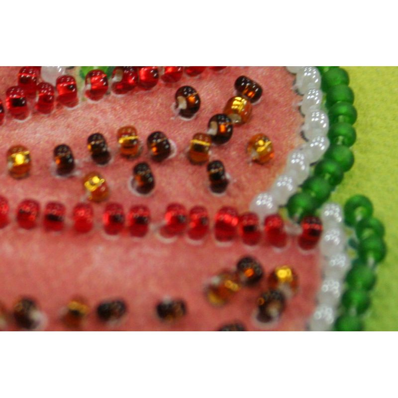 Magnets Bead embroidery kit Watermelon