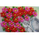 Magnets Bead embroidery kit Congrats