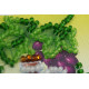 Magnets Bead embroidery kit Isabella