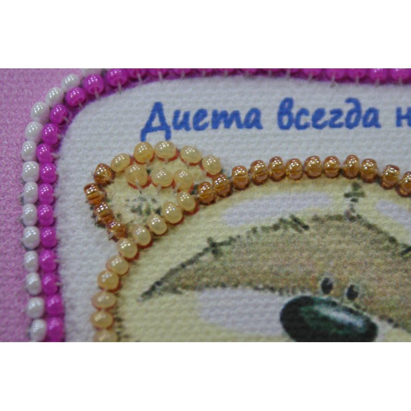 Magnets Bead embroidery kit Diet – 2