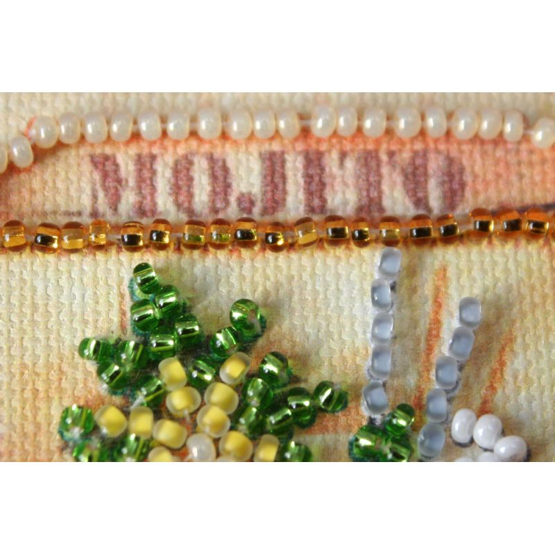 Magnets Bead embroidery kit Mojito