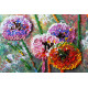 Mid-sized bead embroidery kit Multi-colored balls