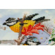 Mid-sized bead embroidery kit Feathered guests
