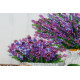 Mid-sized bead embroidery kit Lavander`s aroma