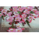 Mid-sized bead embroidery kit Stick of sakura