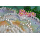 Postcard Bead embroidery kit Happy 8th of March (Women's Day) – 1