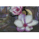 Postcard Bead embroidery kit South night – 3