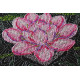 Cross-stitch kits Lotus